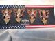 Hard Rock Cafe Washington Patriotic Stained Glass Faries'11 Set Of 4 Pins